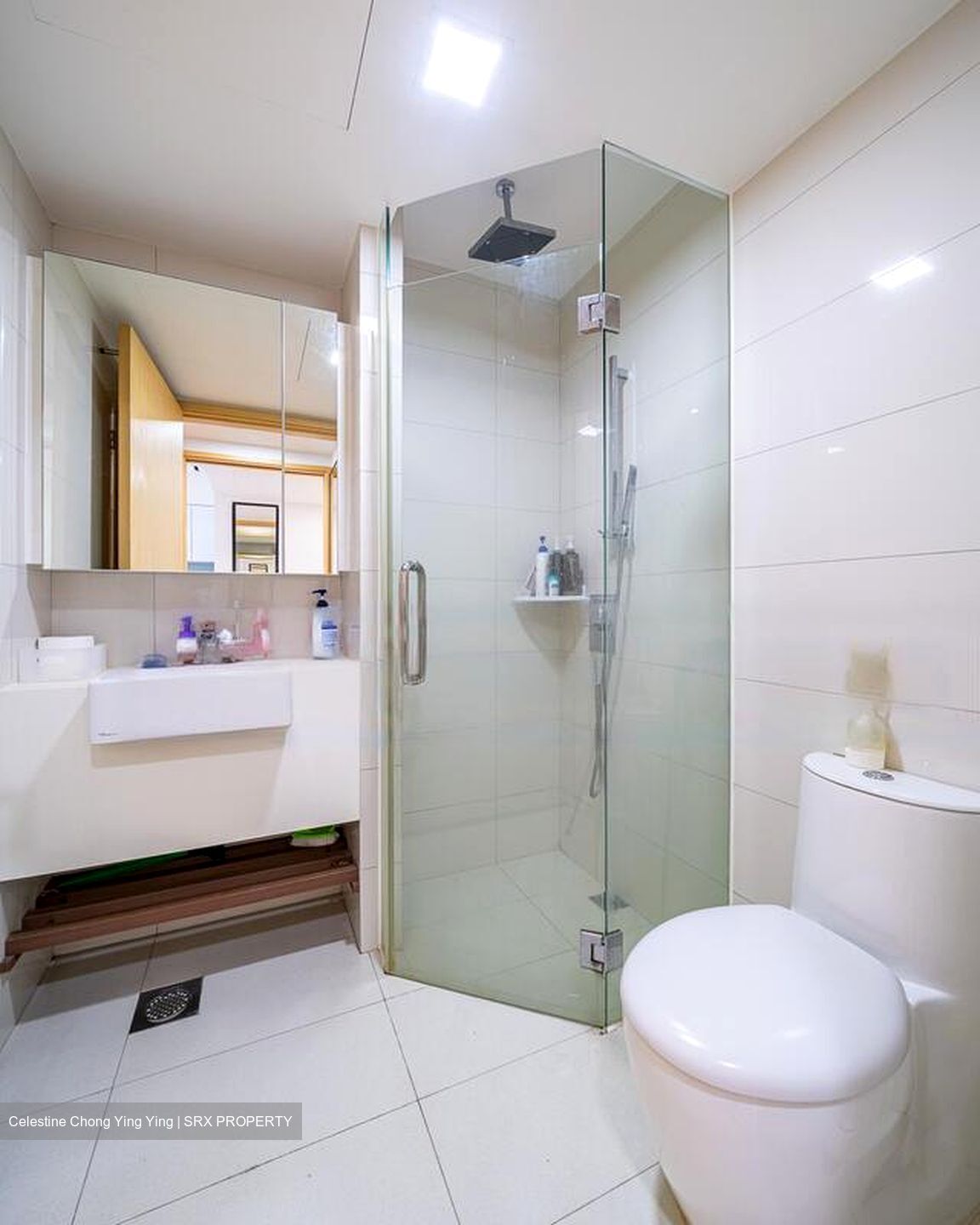 Eight Riversuites (D12), Condominium #470404911